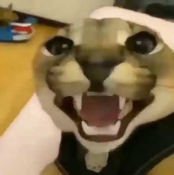 FORGE MASTER Portrait